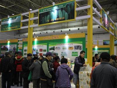 德合鑫農(nóng)副產(chǎn)品展銷會(huì)“廣西行”啟動(dòng)，首站落戶百色，助力農(nóng)副產(chǎn)品走向全國