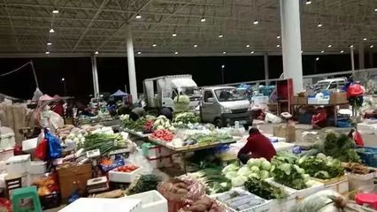 樂清市新地標(biāo)落成 占地58畝農(nóng)副產(chǎn)品批發(fā)市場12日盛大開業(yè)